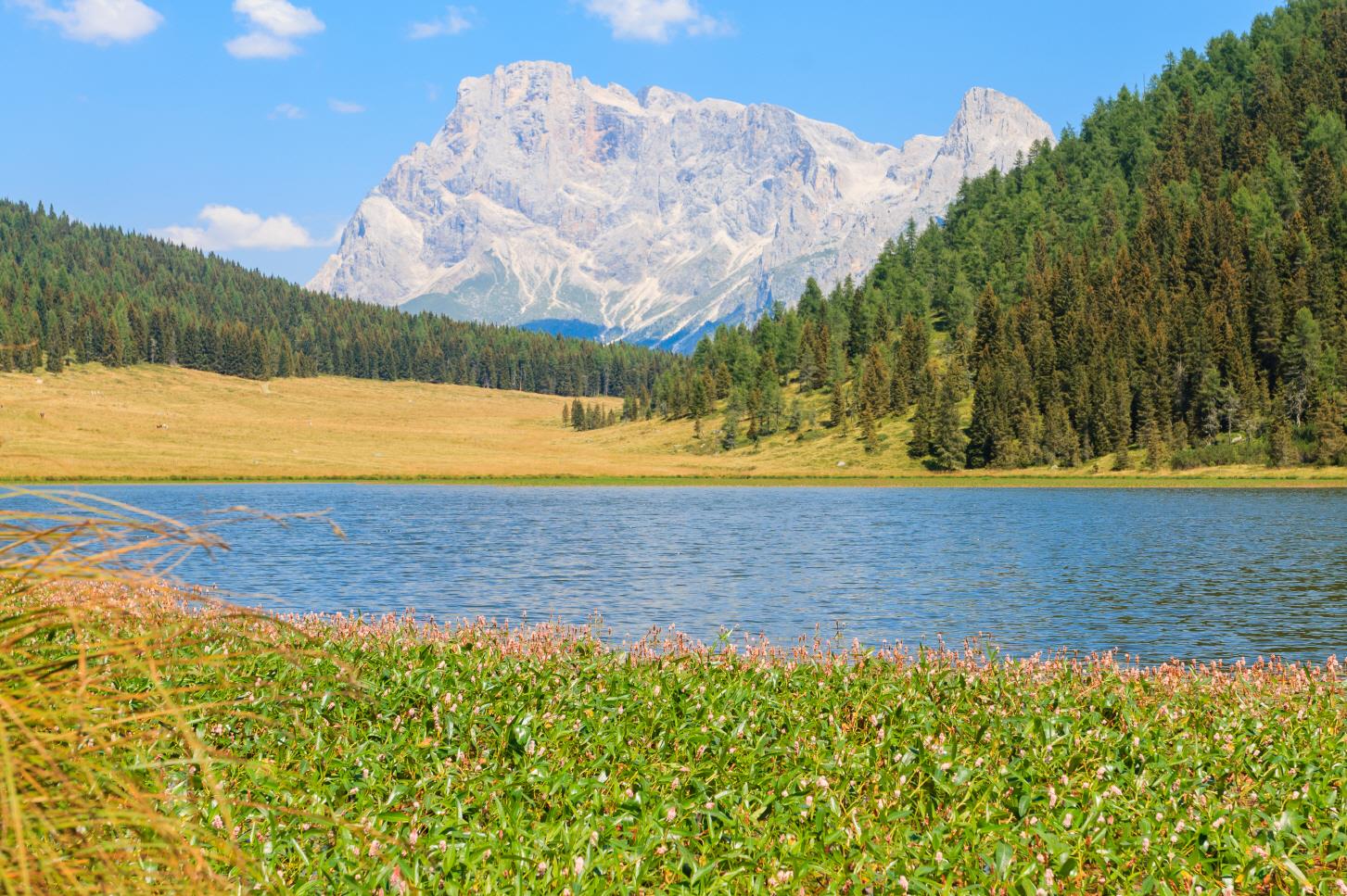 팔레 디 산 마르티노 트레킹  Pale di San Martino