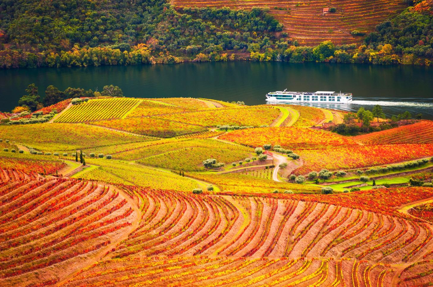 포트와인 - 와이너리  Vino Port( Port wine) & winery