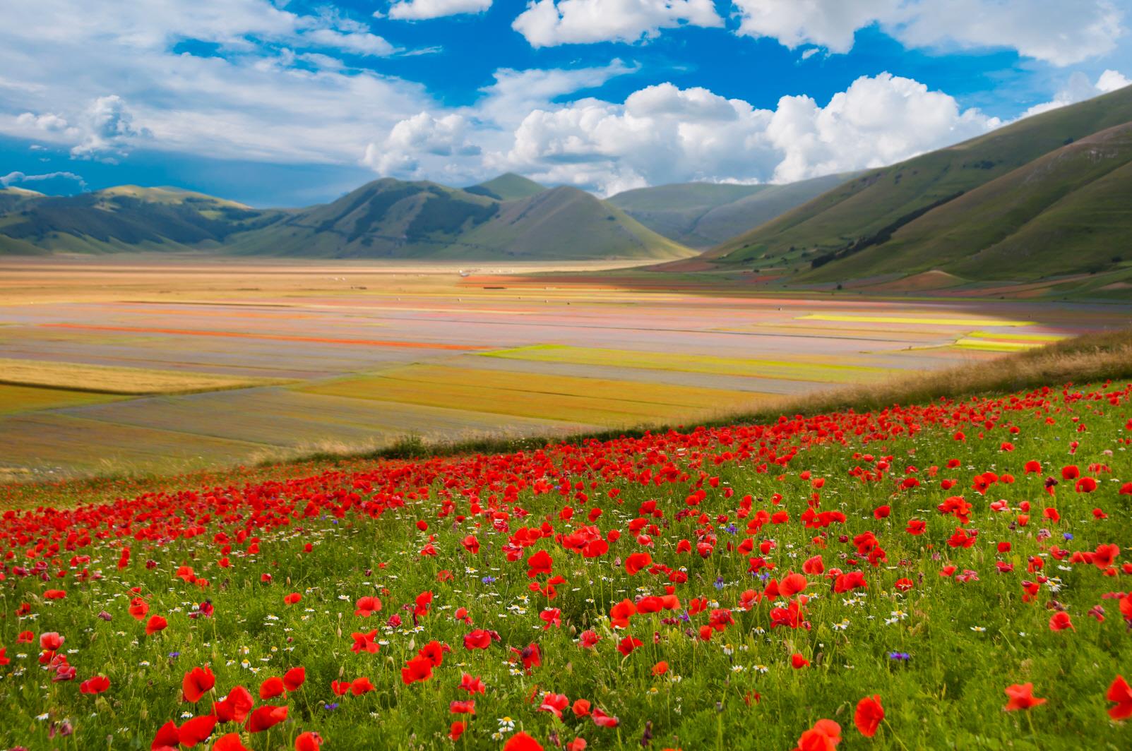 카스텔루쵸 평원  Castelluccio di Norcia