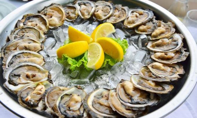 크로아티아 생굴  Oysters