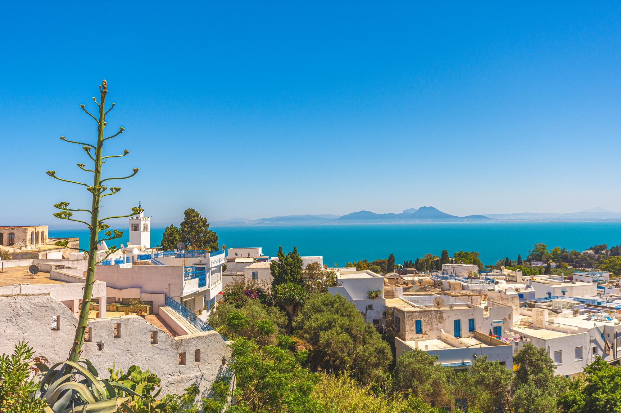 시디 부 사이드  Sidi bou Said