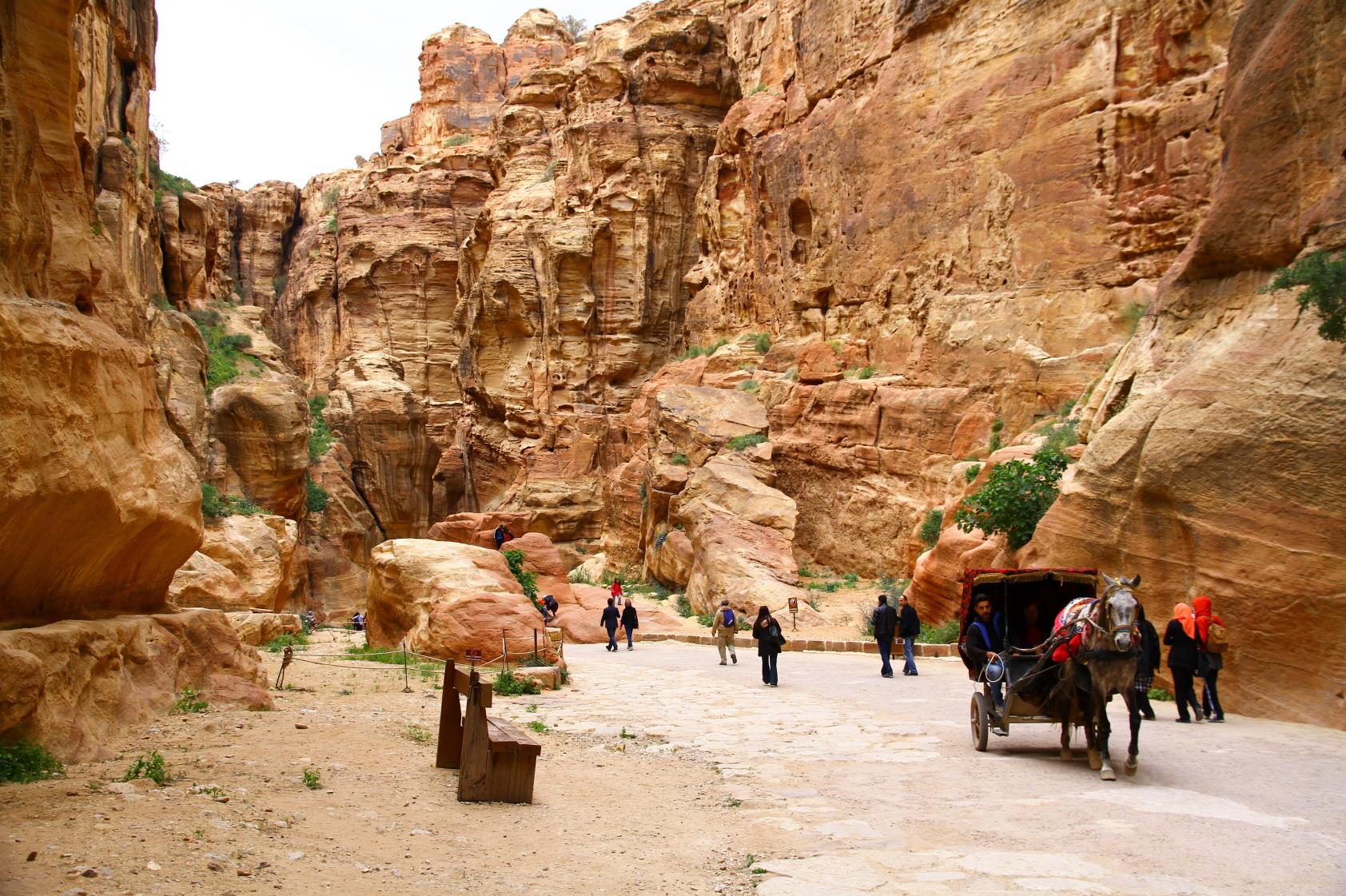 페트라 낙타투어, 마차투어  Camel Riding and Horse carriage