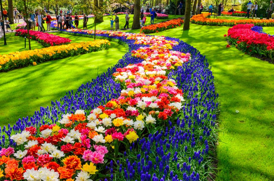 큐켄호프 공원  keukenhof gardens