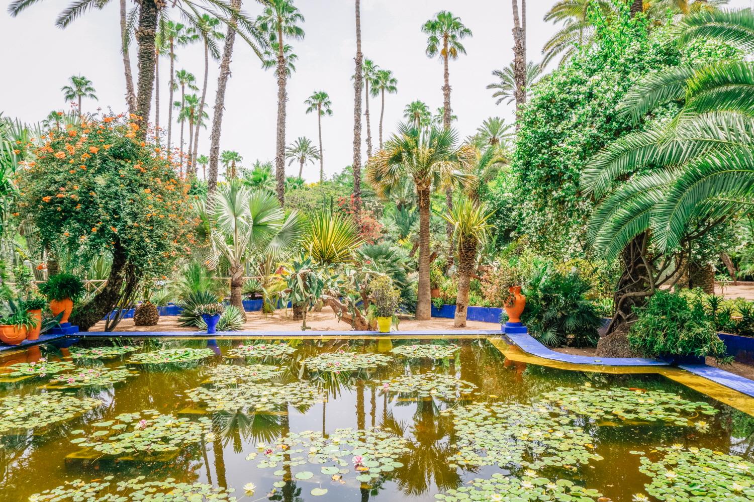 마조렐 정원  Jardin Majorelle