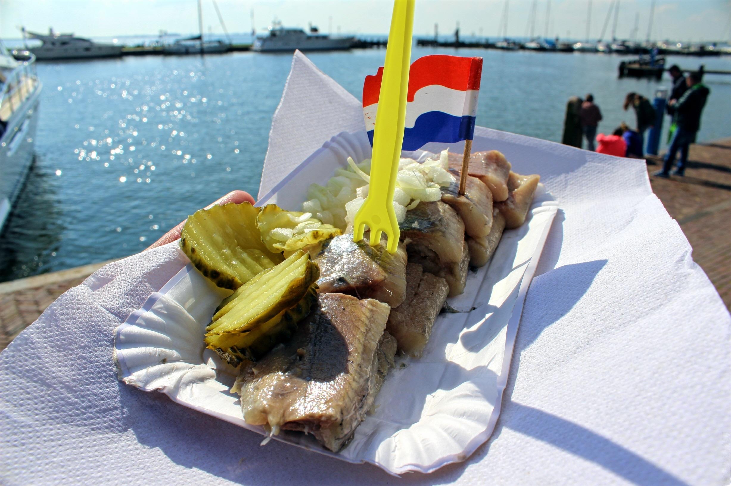 더치헤링  Dutch Herring