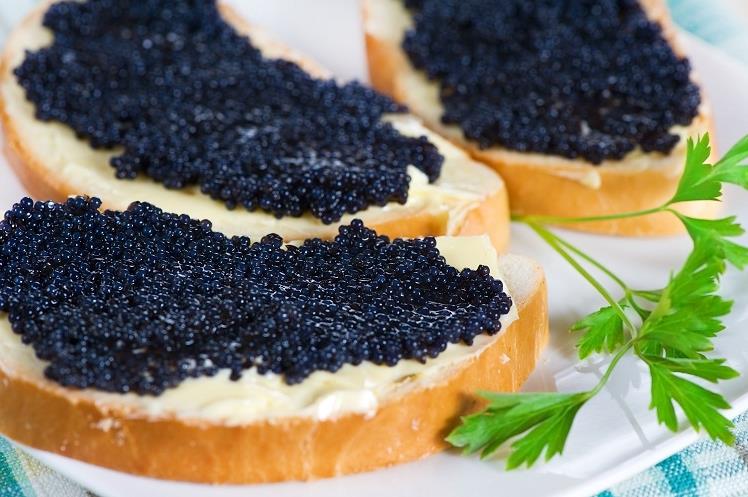 캐비아(상어알 요리)  Caviar(Ikra)