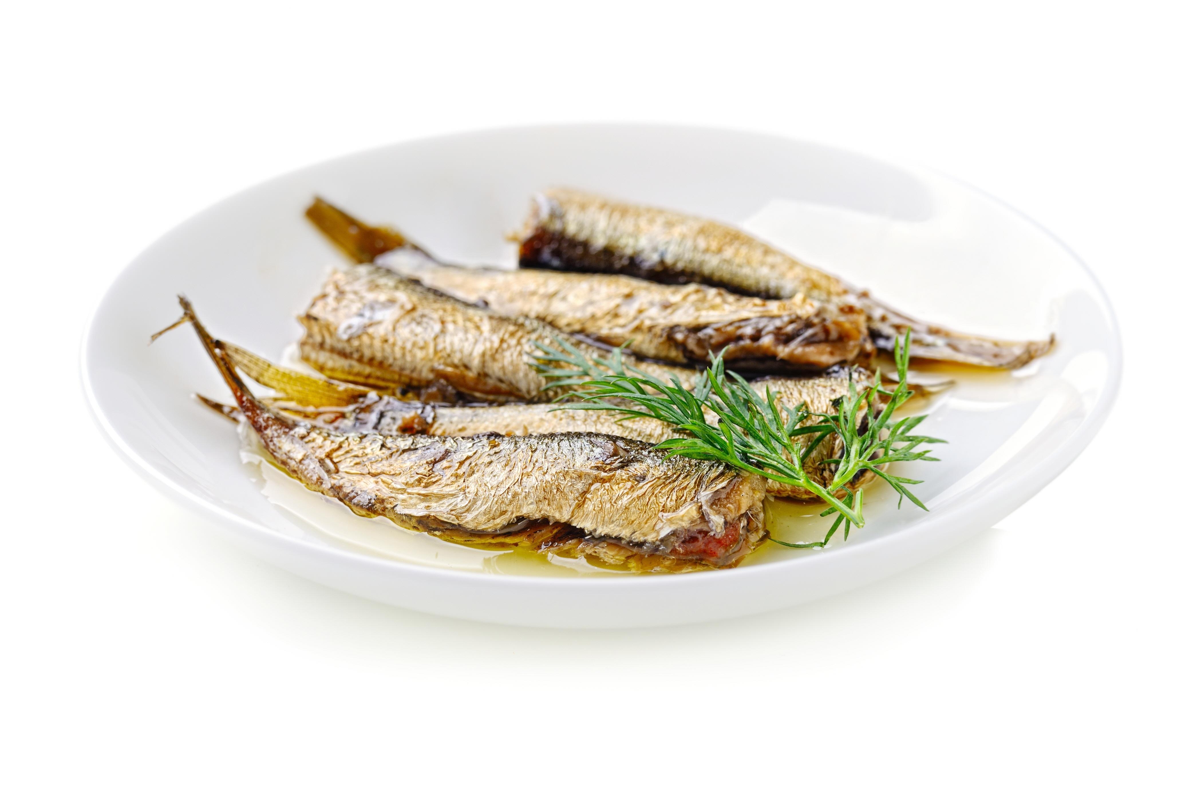 훈제정어리  Smoked sprats