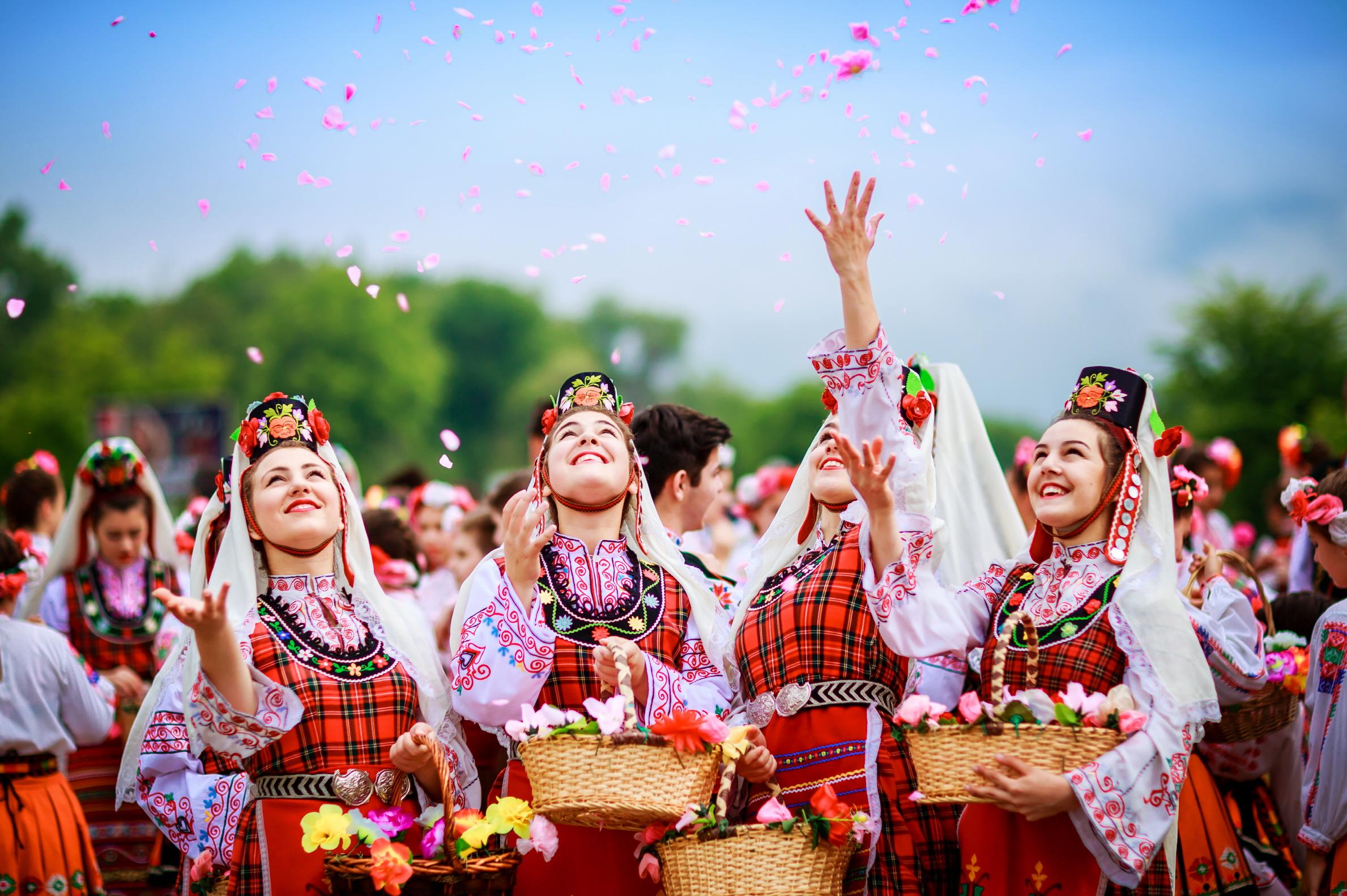 장미 축제  Rose festival