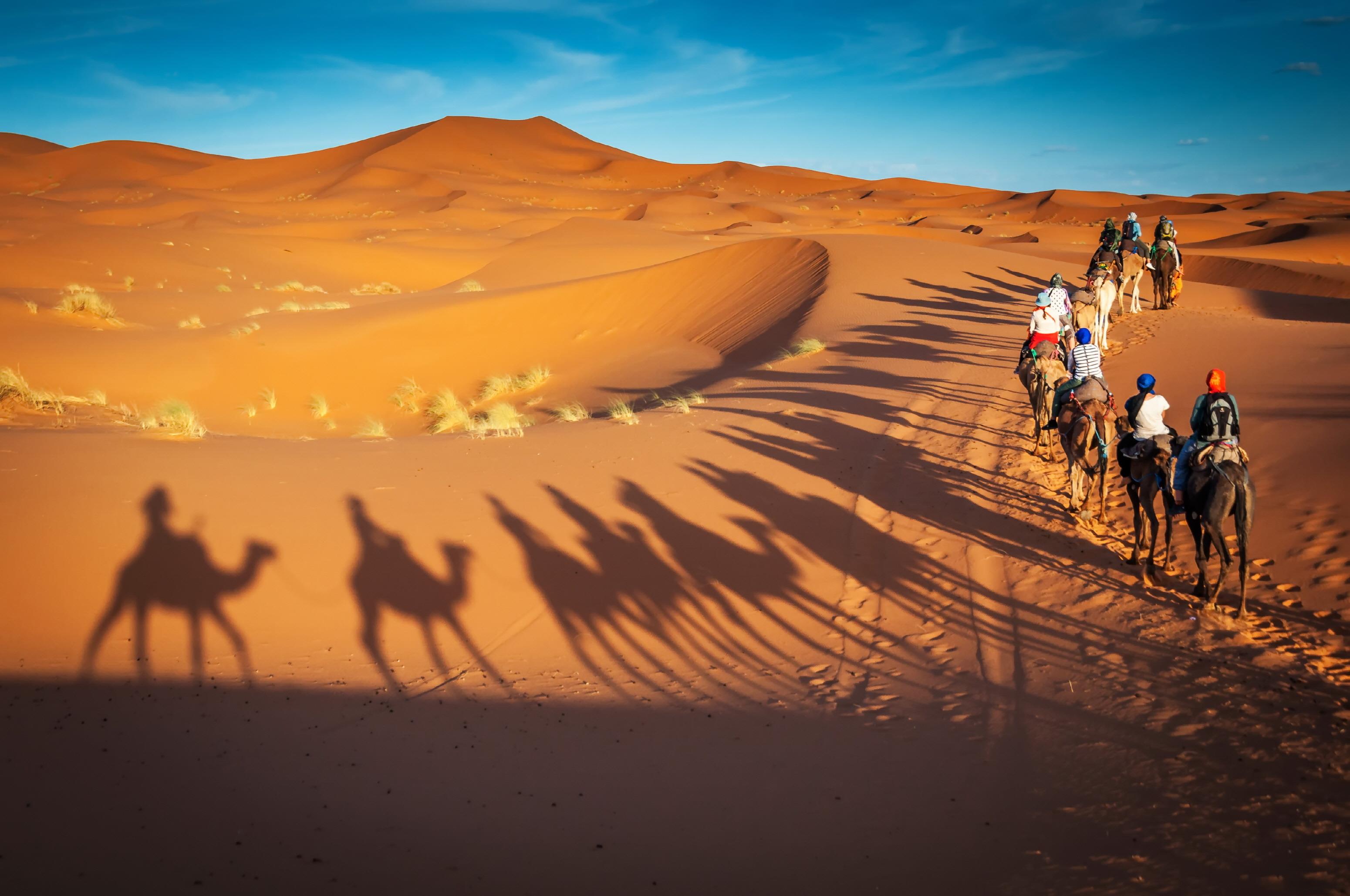 사막사파리 낙타투어  Dubai Desert Safari Tour