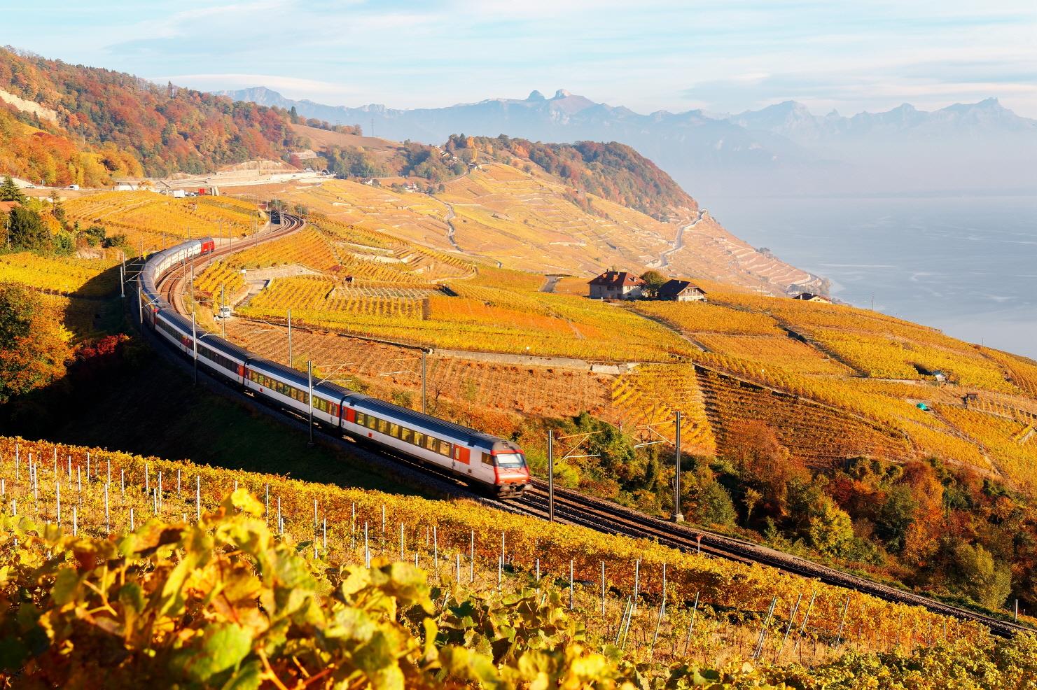 라보 와이너리  Lavaux winery