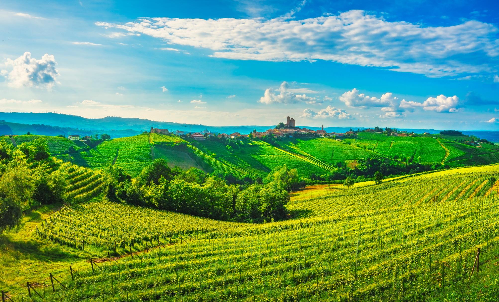 랑게, 로에로 포도농장  Langhe and Roero vineyards