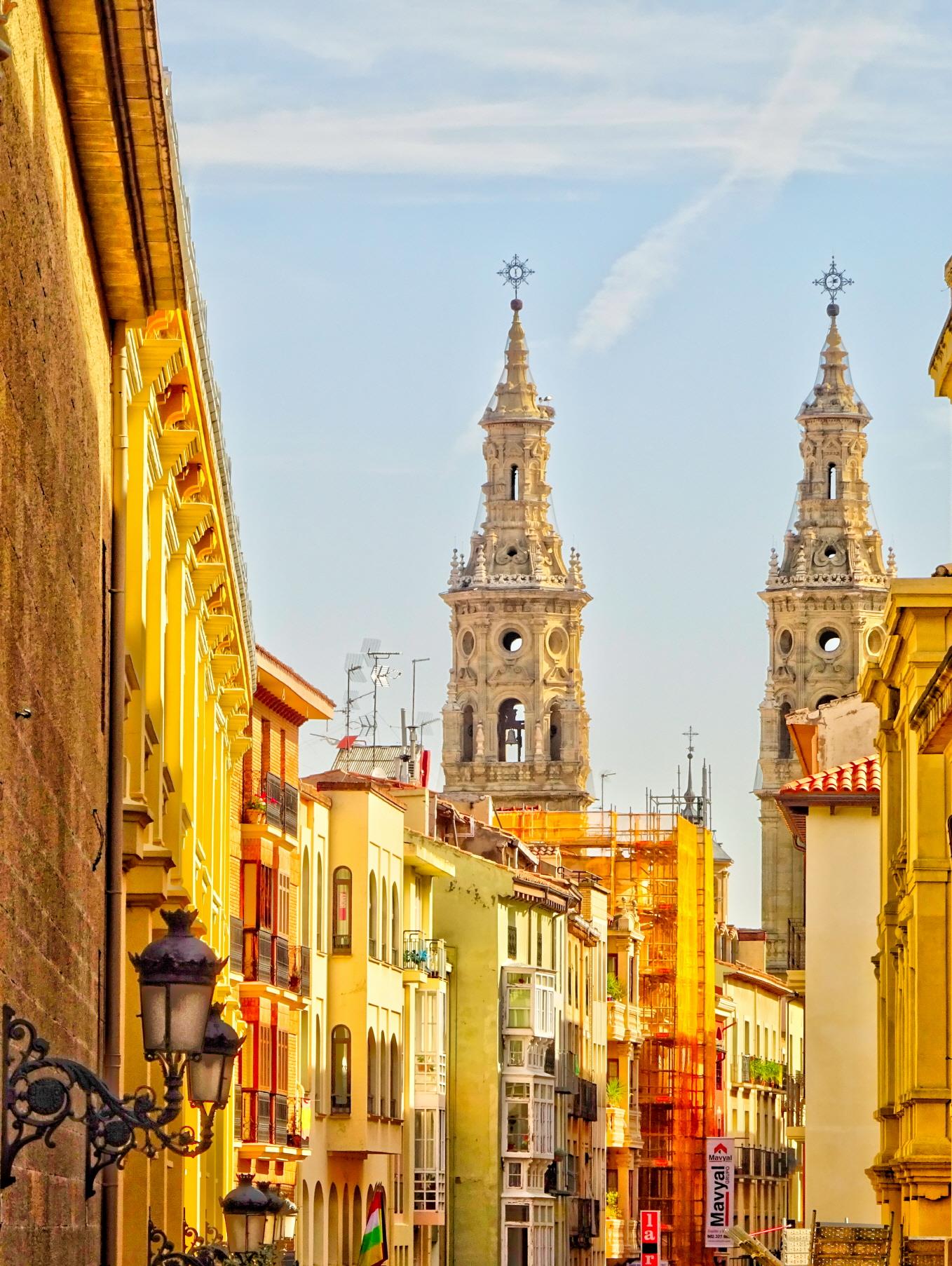 로그료뇨 대성당  La Catedral de Logrono