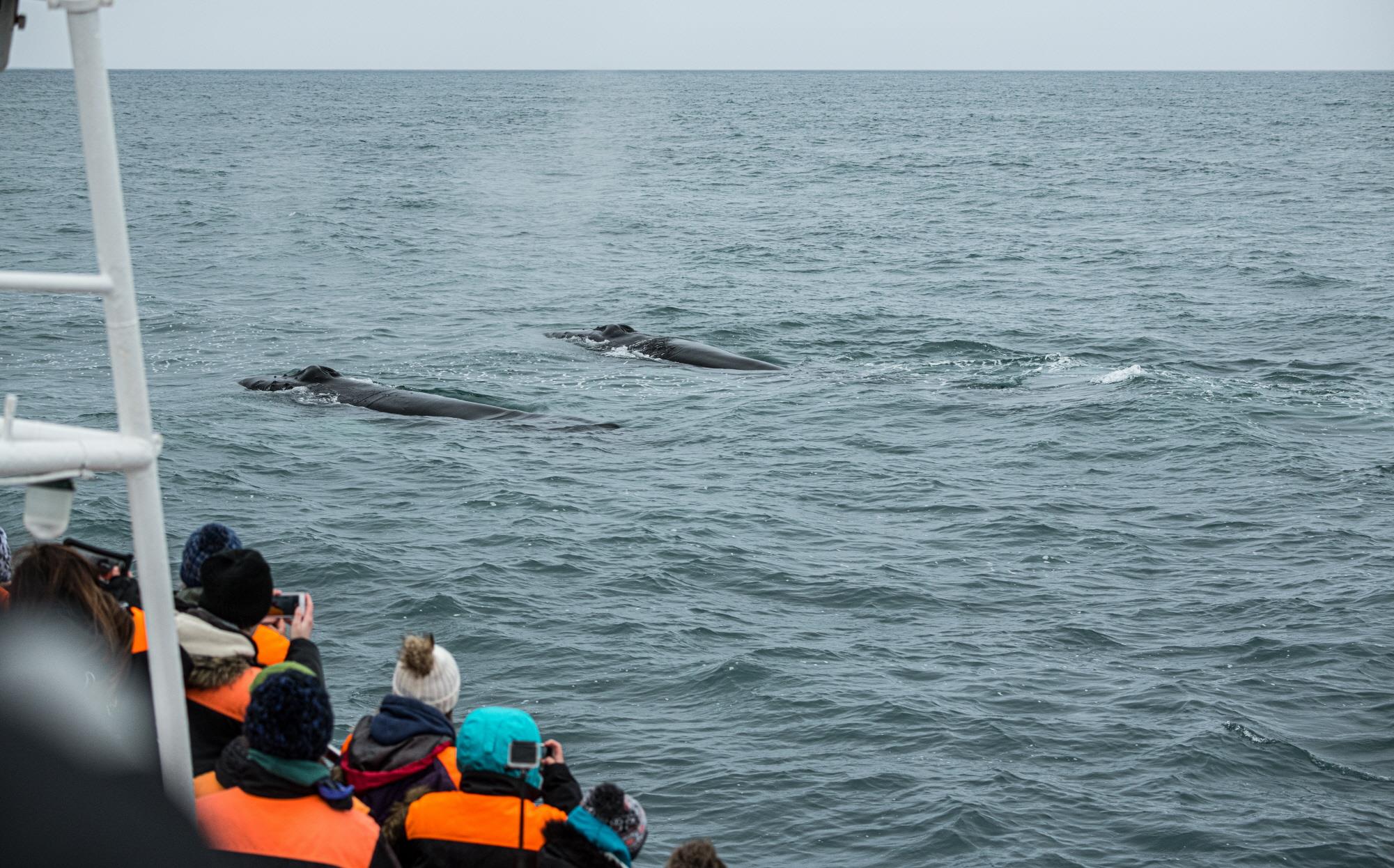 후사비크  Husavik