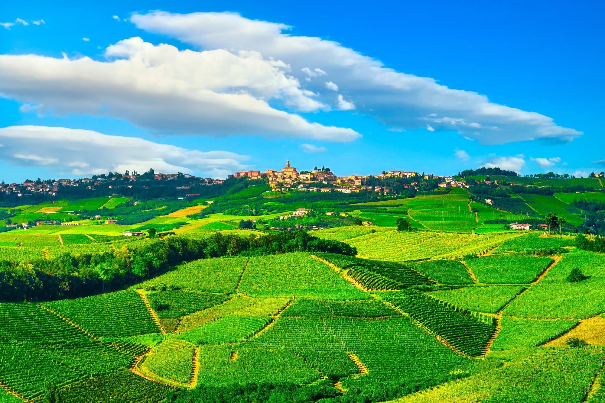 랑게, 로에로 포도농장  Langhe and Roero vineyards