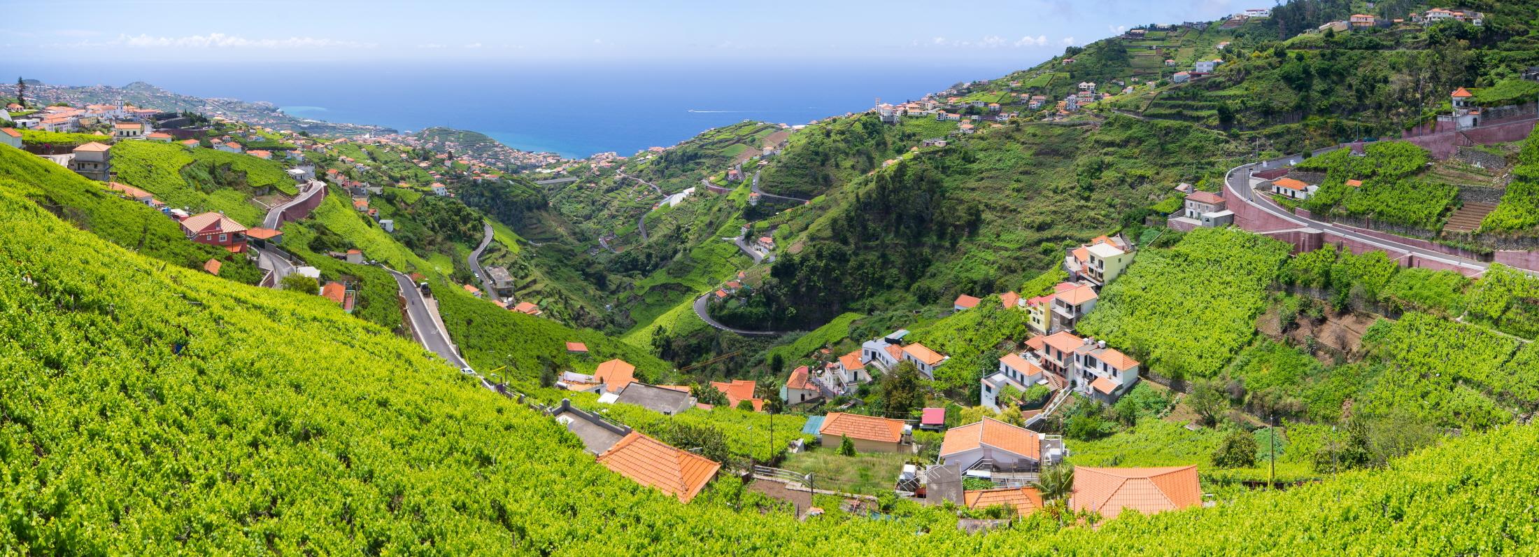 마데이라 섬  Madeira Islands