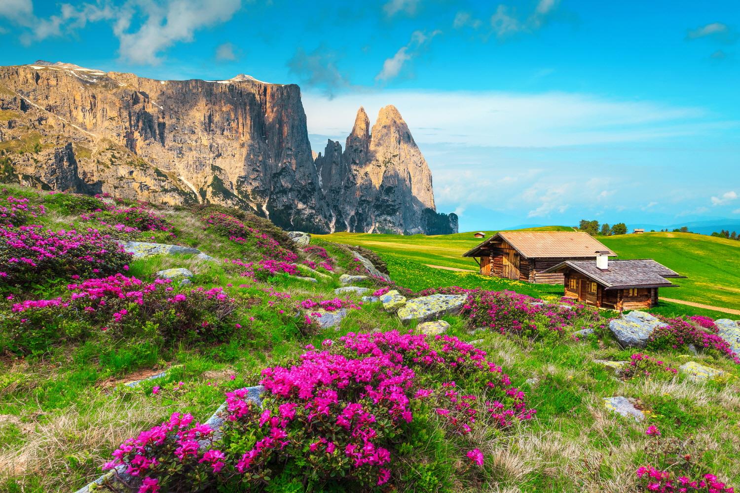 알페 디 시우시 트레킹  Alpe di Siusi trekking