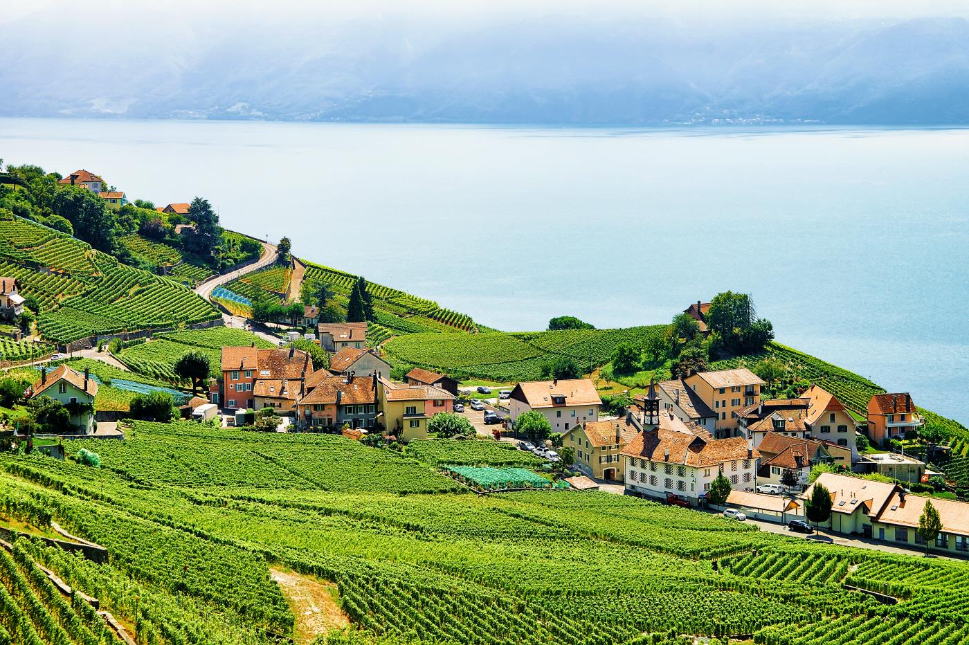 라보 지역  Lavaux-Oron District