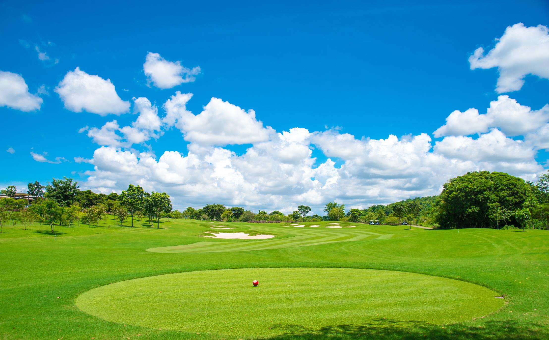 골프 라운딩 (Golf course)