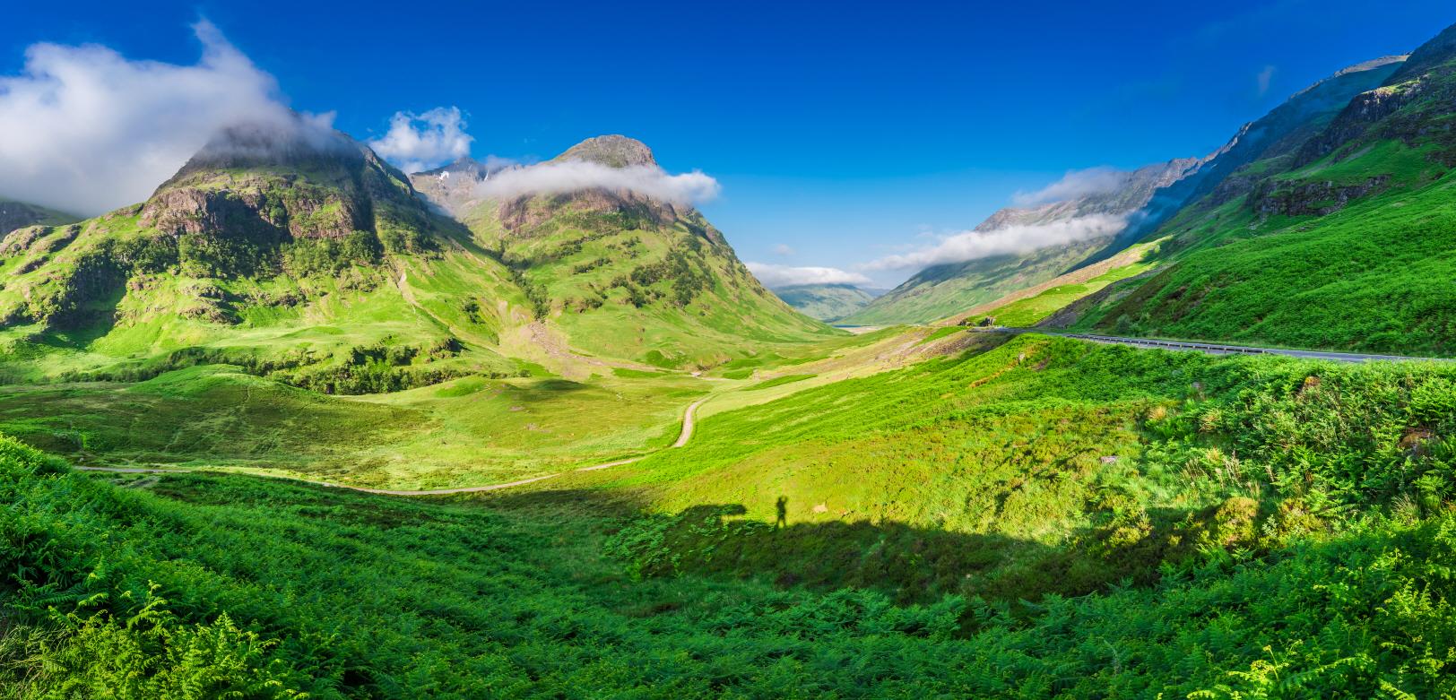 글렌코  Glencoe