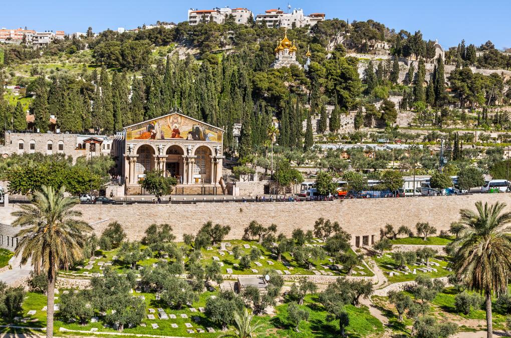 겟세마네 동산이 있는 감람산  Mount of Olives